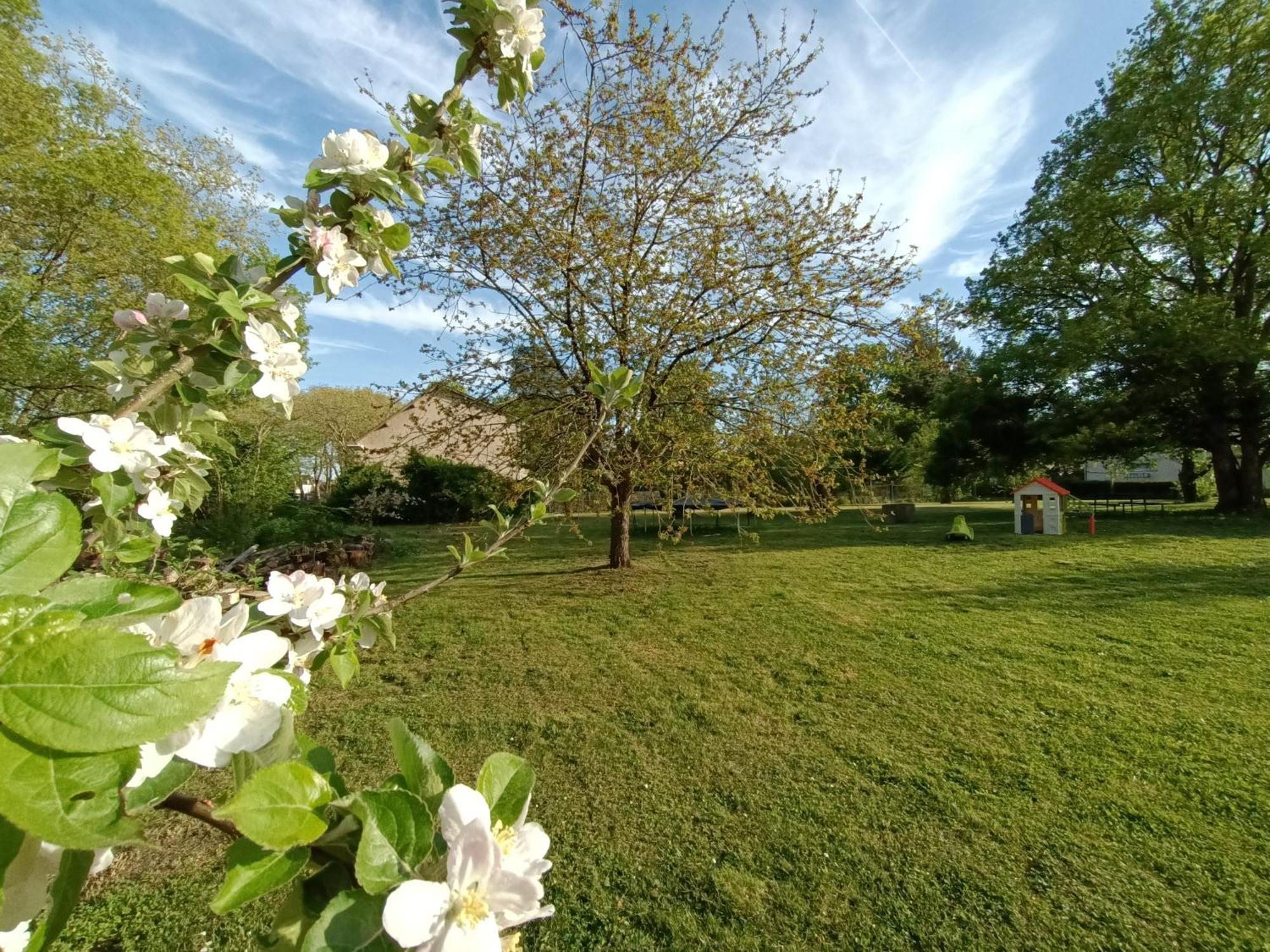 Gite Climatise Villa Esperanza 2 A 5 Personnes Valençay Εξωτερικό φωτογραφία