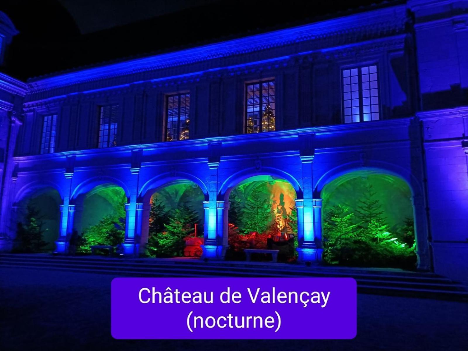 Gite Climatise Villa Esperanza 2 A 5 Personnes Valençay Εξωτερικό φωτογραφία